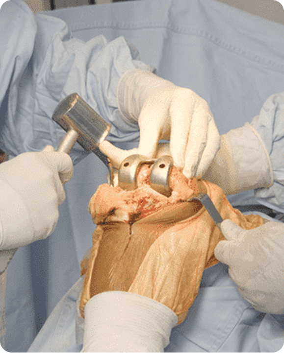 Orthopaedic Specialist